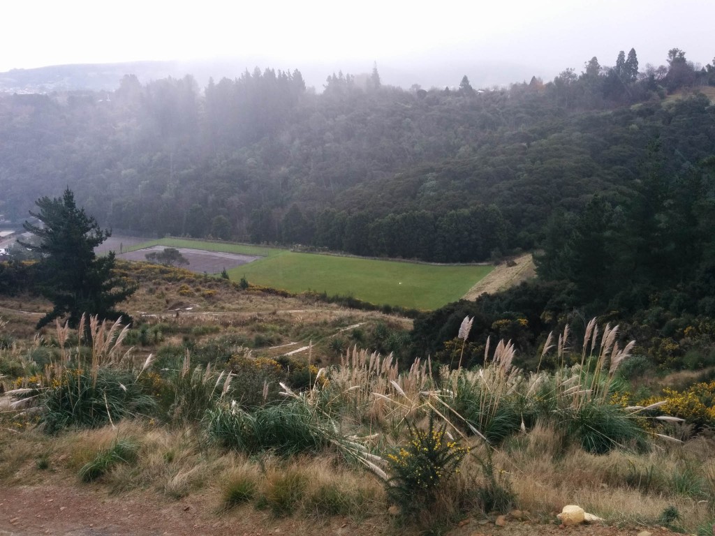 The rain rolls in and I land in the field